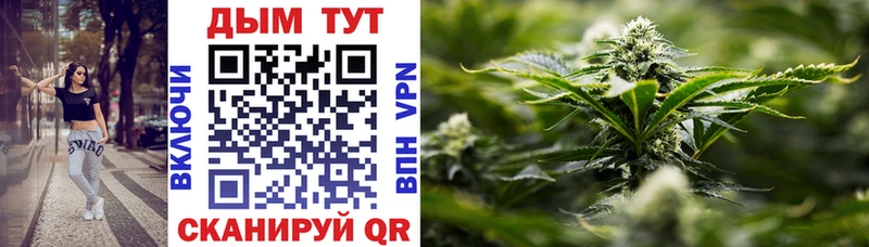 Купить где  Дедовск  Каннабис THC 21% 